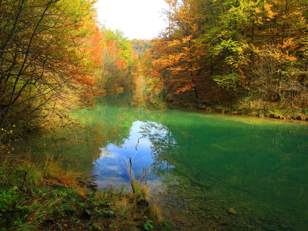 Die Schlucht des Flusses Kamačnik